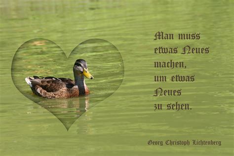 ente sprüche|zitate über ente.